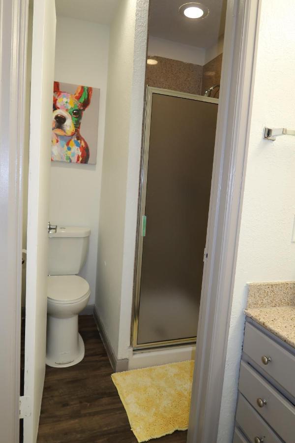 Houston Medical Center 2Br Loft With Pool Near Nrg Stadium公寓 外观 照片